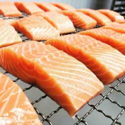 Verlasso Salmon Filet - Raw