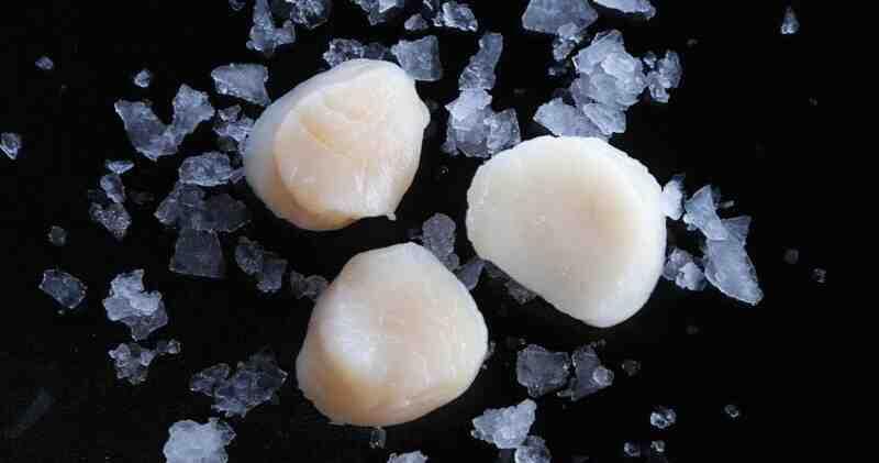 Wild Caught Large Sea Scallops