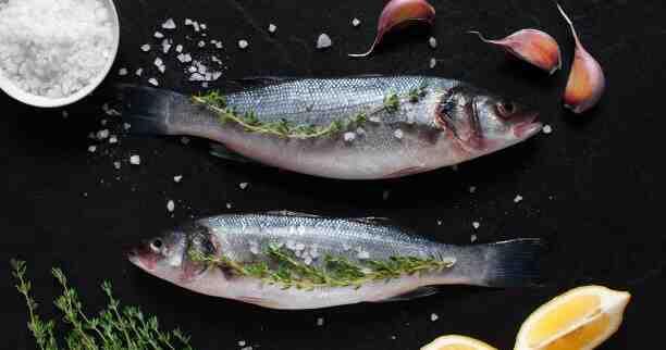 Branzino - Mediterranean Seabass